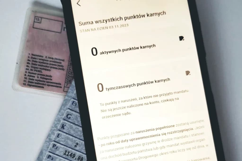 Ile punktów karnych za telefon? Sprawdź, co grozi kierowcom Ile punktów karnych za telefon? Sprawdź, co grozi kierowcom