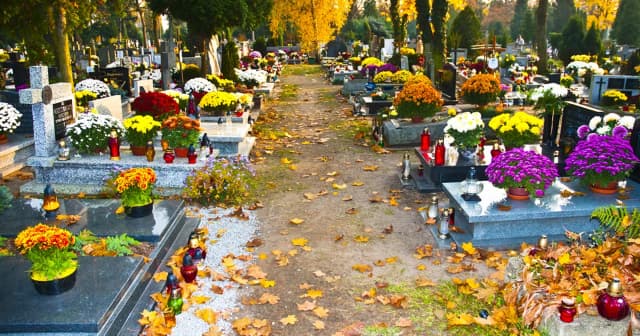 Jak zabezpieczyć kwiaty na cmentarzu przed kradzieżą i uniknąć straty Jak zabezpieczyć kwiaty na cmentarzu przed kradzieżą i uniknąć straty